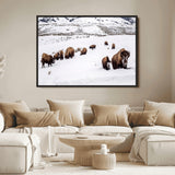 13891210-MGV-FC-36X24_Black-Bison Herd Scene Wall Art Canvas Print, Framed Western Wildlife Decor Art Picture Print, Snowy Mountain Valley Perfect Rustic
