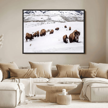 13891210-MGV-FC-36X24_Black-Bison Herd Scene Wall Art Canvas Print, Framed Western Wildlife Decor Art Picture Print, Snowy Mountain Valley Perfect Rustic