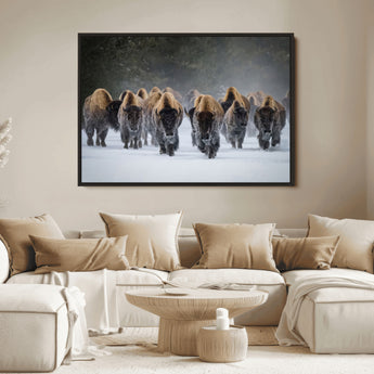 41669135-MGV-FC-36X24_Black-Bison Herd Scene Wall Art Canvas Print, Framed Rustic Wildlife Decor Art Picture Print, Snowy Bison Landscape Perfect Rustic
