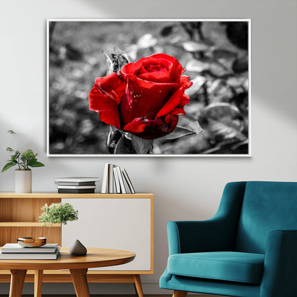84671-MGV-CV-36X24-Red Rose Wall Art – Vibrant Single Bloom Canvas Print with Black and White Background, Elegant Floral Decor for Living Room,