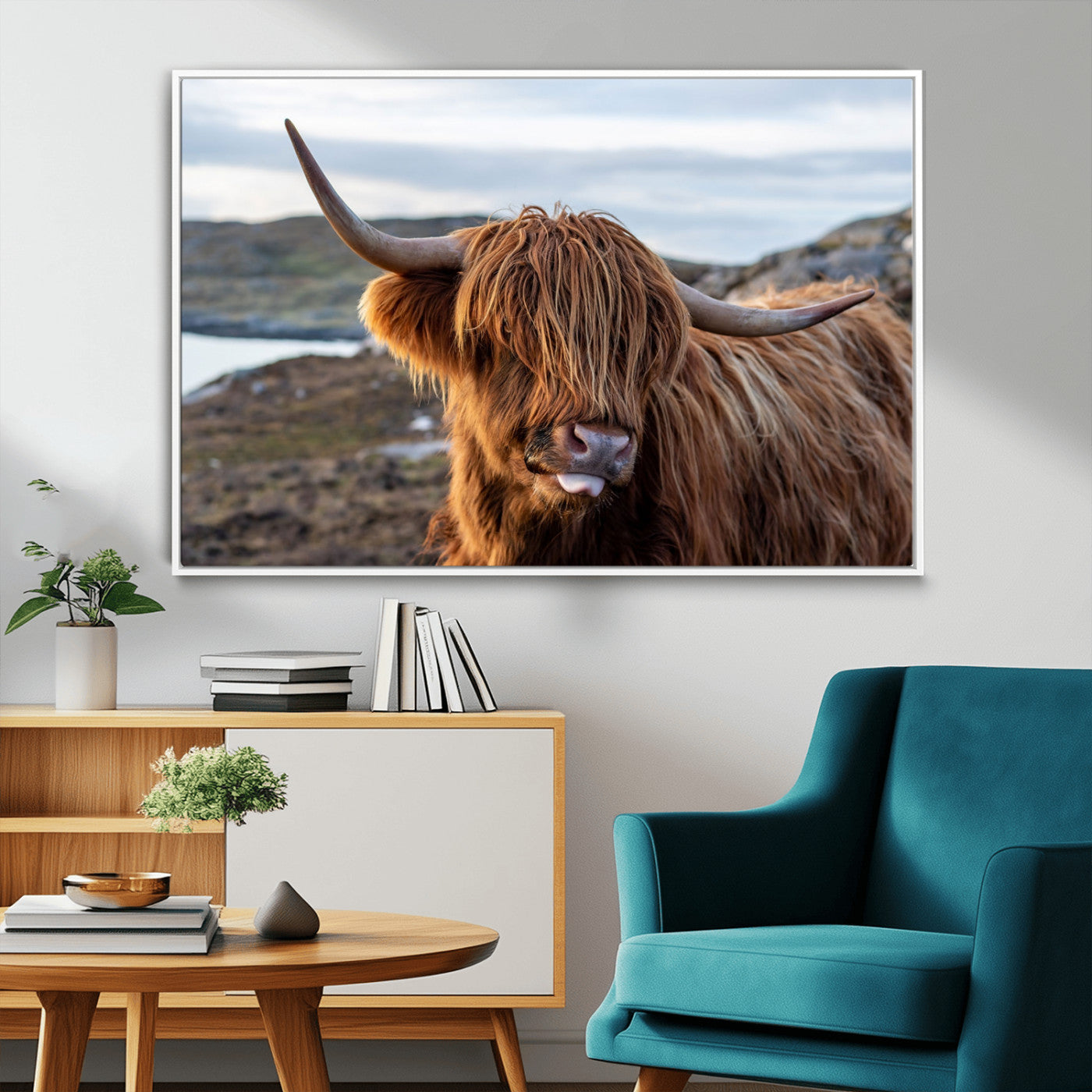 71222-MGV-FC-36X24_White-A playful Highland cow with shaggy fur sticks out its tongue, set against a rugged landscape — perfect for quirky home or office