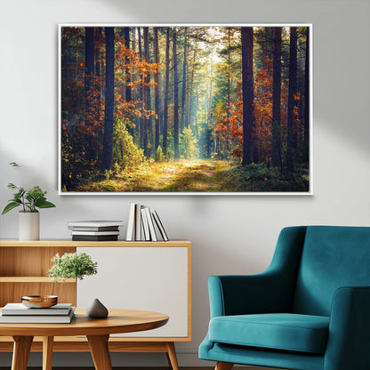 86249-MGV-FC-36X24_White-Sunlit Autumn Forest Path Wall Art – Peaceful Nature Scene with Fall Foliage, Calming Woods Decor for Home or Office