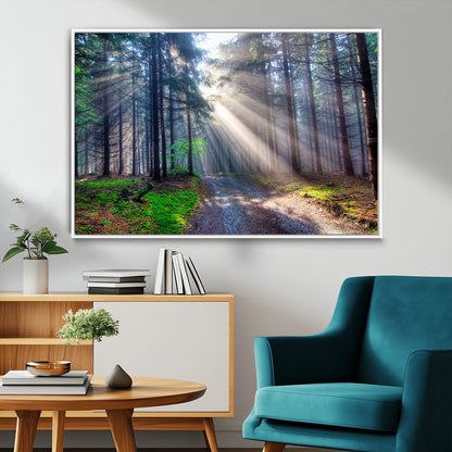 42047-MGV-FC-36X24_White-Sunlit Forest Path Wall Art – Nature Canvas Print, Serene Woodland Landscape, Perfect Home & Office Decor for Calm and Tranquil