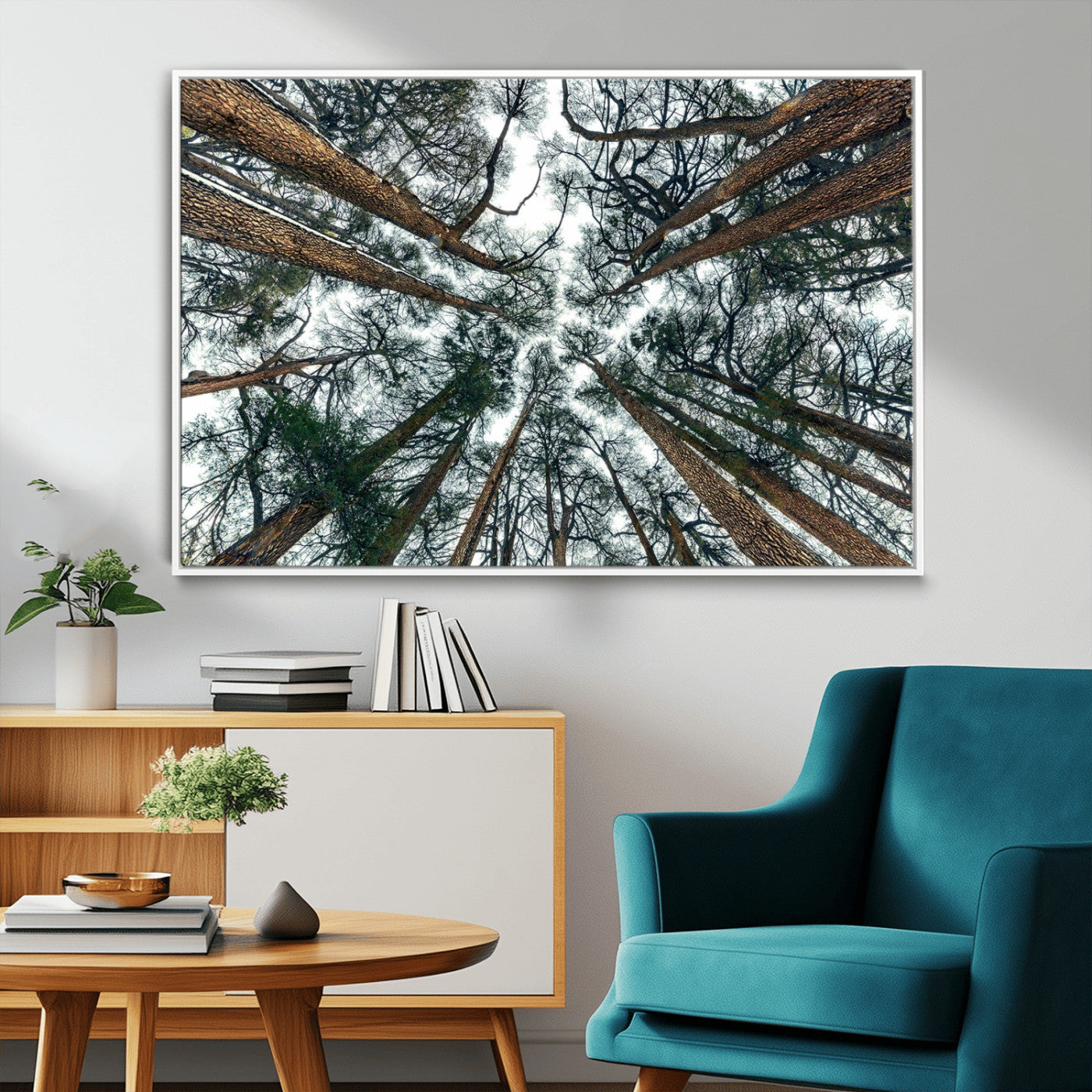 18790-MGV-CV-36X24-Pine Canopy Wall Art – Panoramic View of Towering Pines Canvas Print, Nature-Inspired Decor for Office, Cabin or Living Room