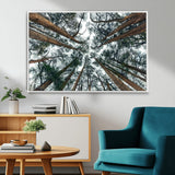 18790-MGV-CV-36X24-Pine Canopy Wall Art – Panoramic View of Towering Pines Canvas Print, Nature-Inspired Decor for Office, Cabin or Living Room