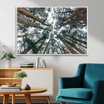 18790-MGV-CV-36X24-Pine Canopy Wall Art – Panoramic View of Towering Pines Canvas Print, Nature-Inspired Decor for Office, Cabin or Living Room