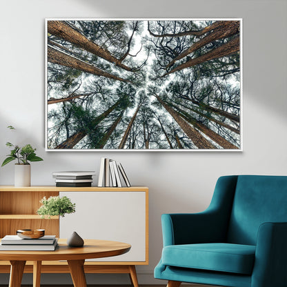 18790-MGV-CV-36X24-Pine Canopy Wall Art – Panoramic View of Towering Pines Canvas Print, Nature-Inspired Decor for Office, Cabin or Living Room