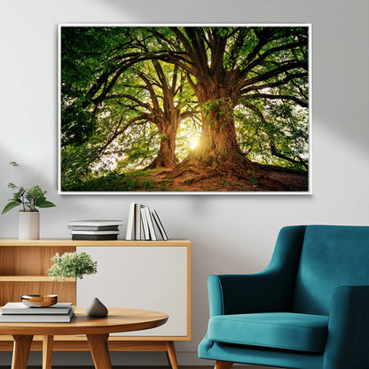 52150-MGV-CV-36X24-Majestic Tree Wall Art – Large Nature Canvas Print with Sunlight Through Branches, Rustic Forest Decor for Living Room, Bedroom or