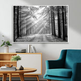 39665-MGV-CV-36X24-Black and White Forest Path Wall Art – Sunlight Rays in Trees Canvas Print, Nature Landscape Decor for Living Room