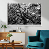 132944706-MGV-CV-36X24-Ancient Tree Wall Art – Black and White Photography Canvas Print Featuring Majestic Twisting Branches, Rustic Nature Artwork for