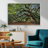 MGV-FC-36X24 - Historic Tree Wall Art Canvas Print, Framed Mossy Tree Art Picture Print, Twisted Branches Perfect Nature Southern Decor Artwork