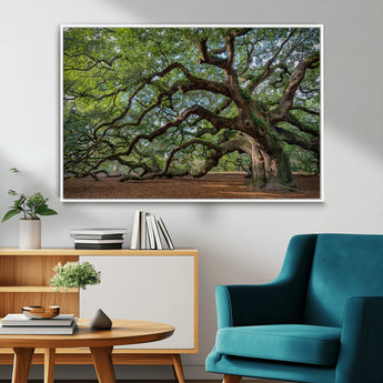 MGV-FC-36X24 - Historic Tree Wall Art Canvas Print, Framed Mossy Tree Art Picture Print, Twisted Branches Perfect Nature Southern Decor Artwork