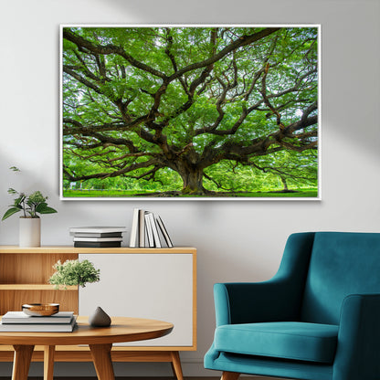 49375306-MGV-FC-36X24_White-Ancient Tree Wall Art Canvas Print, Framed Sprawling Branches Art Picture Print, Gnarling Tree Perfect Earthy Natural Decor