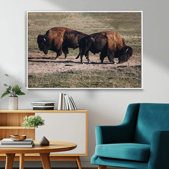 58141885-MGV-CV-36X24-Bison Photography Wall Art Canvas Print, Framed Western Wildlife Art Picture Print, Modern Ranch Perfect Western Rustic Decor