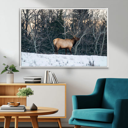36533178-MGV-FC-36X24_White-Wild Elk Photography Wall Art Canvas Print, Framed Winter Wildlife Art Picture Print, Snowy Forest Perfect Rustic Lodge Decor