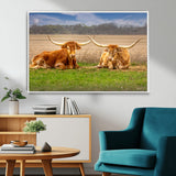 54598515-MGV-FC-36X24_White-Texas Longhorns Wall Art – Rustic Cattle Ranch Canvas Print, Western Farmhouse Animal Photography Decor for Living Room, Office,