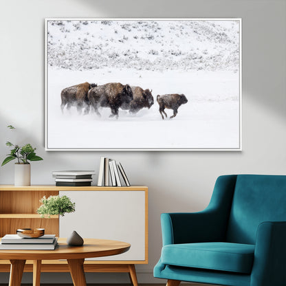 61161423-MGV-FC-36X24_White-Running Bison Herd Wall Art – Winter Buffalo Canvas Print, Wildlife Photography Decor for Rustic Living Room, Farmhouse, Lodge,