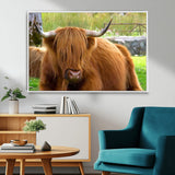 68411138-MGV-FC-36X24_White-Farmhouse Wall Art – Highland Cow Canvas Print, Rustic Country Cattle Photography Decor for Bedroom, Living Room, Office, Ranch,