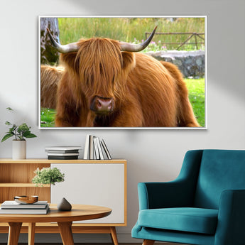 68411138-MGV-FC-36X24_White-Farmhouse Wall Art – Highland Cow Canvas Print, Rustic Country Cattle Photography Decor for Bedroom, Living Room, Office, Ranch,