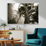87969493-MGV-CV-36X24-Forest Wall Art – Misty Tall Trees Canvas Print, Dramatic Woodland Photography Decor for Bedroom, Living Room, Office, Cabin,
