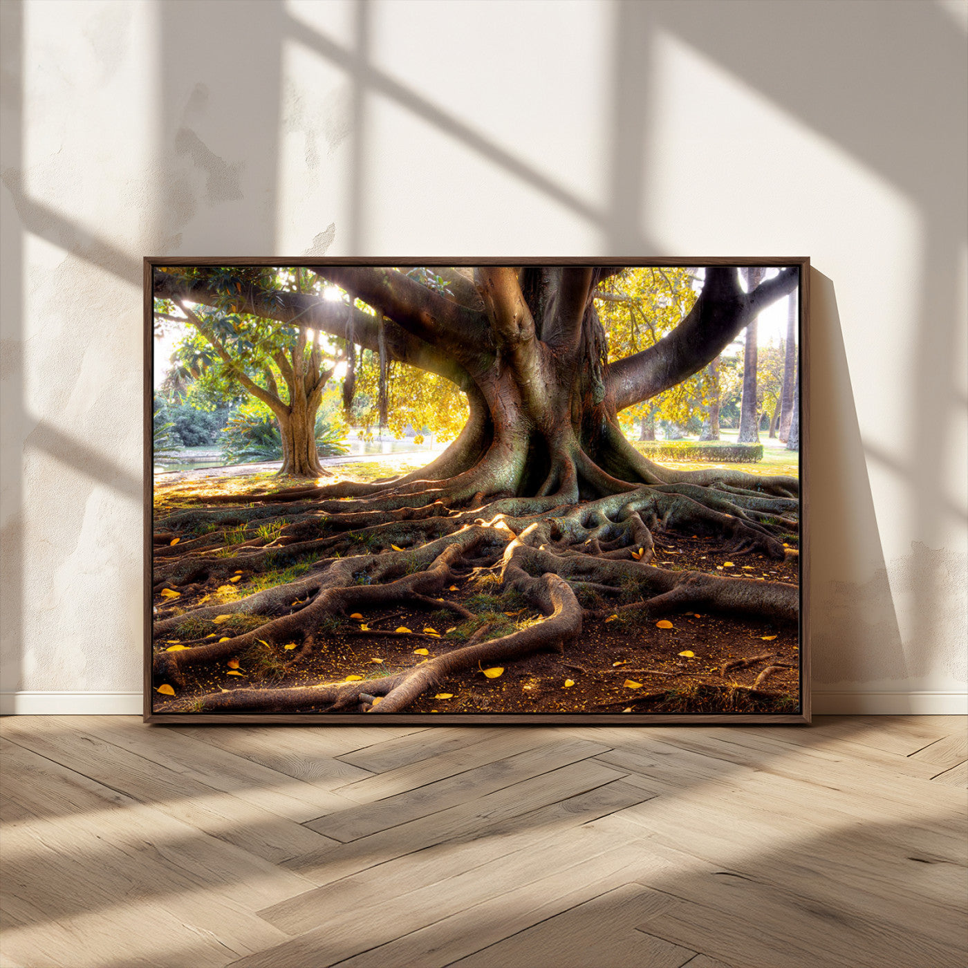 53335-MGV-CV-36X24-Majestic Tree with Sprawling Roots Wall Art – Serene Sunlit Park Scene, Nature Canvas Print, Perfect for Living Room, Office or
