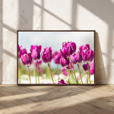 30632-MGV-CV-36X24-Purple Tulip Field Wall Art – Beautiful Spring Flowers Canvas Print with Soft Focus and Bright Sky, Ideal Floral Decor for Home or
