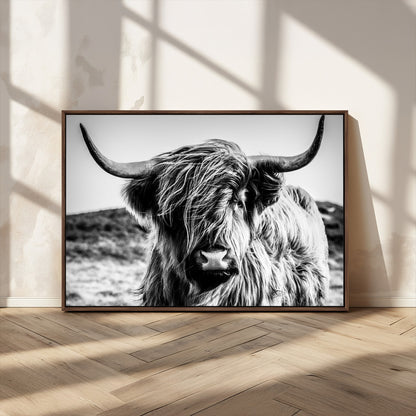 36979-MGV-CV-36X24-Striking black-and-white portrait of a Highland cow with flowing fur and majestic horns, perfect for rustic and elegant home or