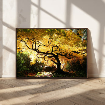 19067-MGV-CV-36X24-Golden Canopy Wall Art – Panoramic Autumn Tree Canvas Print, Warm Seasonal Decor for Living Room, Office or Garden Space