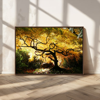 19067-MGV-CV-36X24-Golden Canopy Wall Art – Panoramic Autumn Tree Canvas Print, Warm Seasonal Decor for Living Room, Office or Garden Space