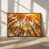 11823-MGV-CV-36X24-Golden Autumn Tree Canopy Wall Art – Stunning Fall Forest Leaves Print, Warm Seasonal Nature Decor for Home, Office or Cabin