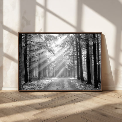 39665-MGV-CV-36X24-Black and White Forest Path Wall Art – Sunlight Rays in Trees Canvas Print, Nature Landscape Decor for Living Room or Office