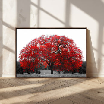 80021-MGV-CV-36X24-Red Tree Wall Art – Striking Black and White Landscape Canvas Print with Vibrant Red Leaves, Modern Nature Decor for Living Room