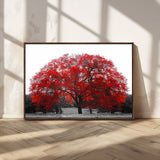 80021-MGV-CV-36X24-Red Tree Wall Art – Striking Black and White Landscape Canvas Print with Vibrant Red Leaves, Modern Nature Decor for Living Room