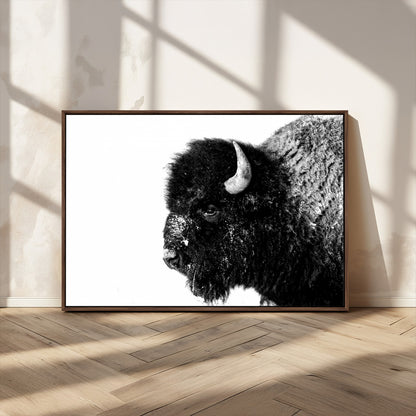 68780-MGV-CV-36X24-Bison Close-Up Wall Art – Black and White Buffalo Canvas Print, Rustic Wildlife Photography Decor for Living Room, Office, or