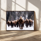 66871-MGV-CV-36X24-Bison Herd Wall Art – Wildlife Buffalo Canvas Print, Rustic Western Nature Photography Decor for Living Room, Office, Cabin, or