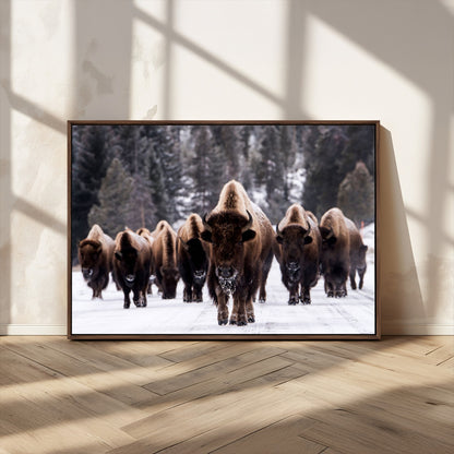 66871-MGV-CV-36X24-Bison Herd Wall Art – Wildlife Buffalo Canvas Print, Rustic Western Nature Photography Decor for Living Room, Office, Cabin, or
