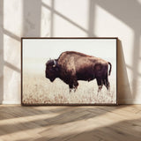 48406-MGV-CV-36X24-American Bison Wall Art – Rustic Buffalo Canvas Print in Prairie Field, Western Wildlife Photography Decor for Cabin, Lodge,