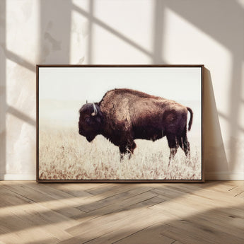 48406-MGV-CV-36X24-American Bison Wall Art – Rustic Buffalo Canvas Print in Prairie Field, Western Wildlife Photography Decor for Cabin, Lodge,