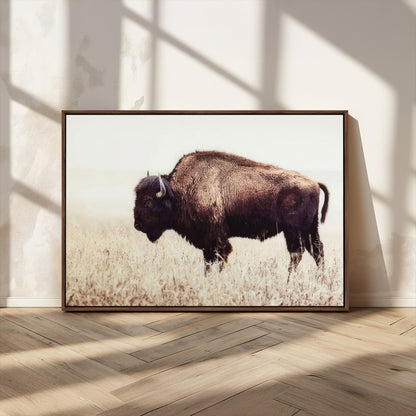 48406-MGV-CV-36X24-American Bison Wall Art – Rustic Buffalo Canvas Print in Prairie Field, Western Wildlife Photography Decor for Cabin, Lodge,