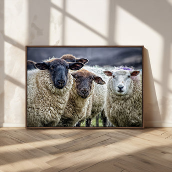18418-MGV-CV-36X24-Sheep Wall Art Canvas Print, Framed Farmhouse Sheep Art Picture Print, Sheep Herd Perfect Rustic Farmhouse Decor Artwork