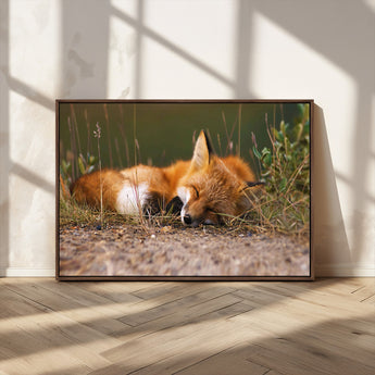 25085-MGV-CV-36X24-Sleeping Fox Wall Art Canvas Print, Framed Rustic Fox Art Picture Print, Wildlife Animal Perfect Rustic Farmhouse Decor Artwork