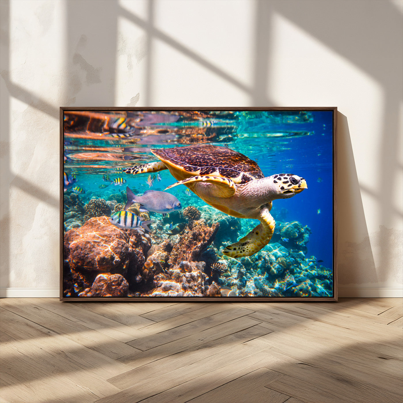 66614-MGV-FC-36X24_Walnut-Sea Turtle Wall Art – Hawksbill Turtle Swimming Over Coral Reef Canvas Print, Ocean Marine Life Decor for Beach House, Coastal