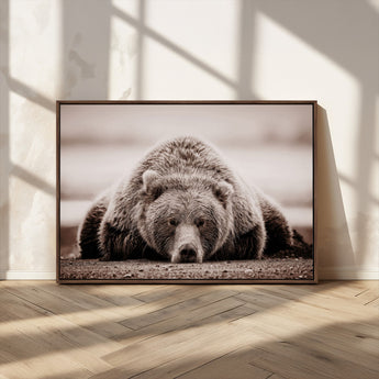 20611-MGV-CV-36X24-Grizzly Bear Wall Art – Majestic Wildlife Sepia Canvas Print, Rustic Nature Animal Artwork for Cabin, Lodge, Living Room, Bedroom,