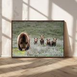 65087B-MGV-CV-36X24-Bear Family Wall Art – Wildlife Canvas Print Featuring Mother Bear with Cubs in Nature, Rustic Animal Artwork for Living Room,