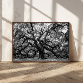 132944706-MGV-CV-36X24-Ancient Tree Wall Art – Black and White Photography Canvas Print Featuring Majestic Twisting Branches, Rustic Nature Artwork for