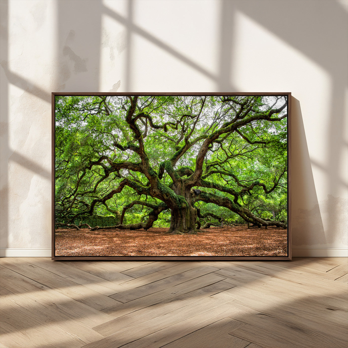 51255351-MGV-CV-36X24-Ancient Tree Wall Art – Majestic Oak Canvas Print, Large Nature Photography, Sacred Forest Landscape Wall Décor, Wisdom Tree