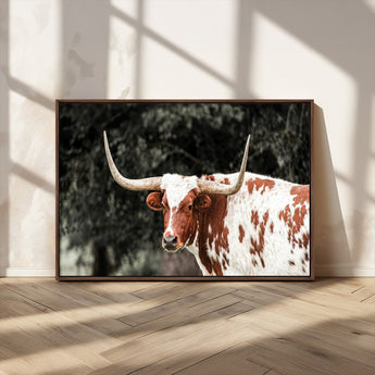 54027638-MGV-CV-36X24-Texas Longhorn Wall Art Canvas Print, Framed Spotted Cow Art Picture Print, Horned Bull Perfect Rustic Western Decor Artwork