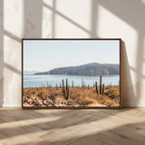 45193515-MGV-CV-36X24-Desert Cactus Wall Art Canvas Print, Framed Baja Coastline Art Picture Print, Coastal Desert Perfect Southwestern Minimalist Decor