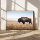 99620201-MGV-CV-36X24-Wild Bison Wall Art Canvas Print, Framed Bison in Prairie Art Picture Print, Rustic Western Perfect Rustic Western Decor Artwork