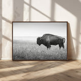 28435251-MGV-CV-36X24-Bison In Prairie Wall Art Canvas Print, Framed Rustic Wildlife Art Picture Print, Wild Buffalo Perfect Rustic Western Decor